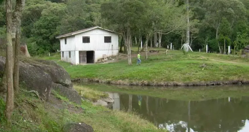 Chácara / sítio com 5 quartos à venda em Borda do Campo, Quatro Barras