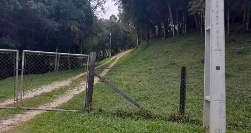 Chácara / sítio com 2 quartos à venda na Zona Rural, Bocaiúva do Sul 