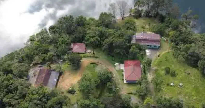 Chácara / sítio com 2 quartos à venda na BR 116 _ REPRESA DO CAPIVARI, Zona Rural, Campina Grande do Sul