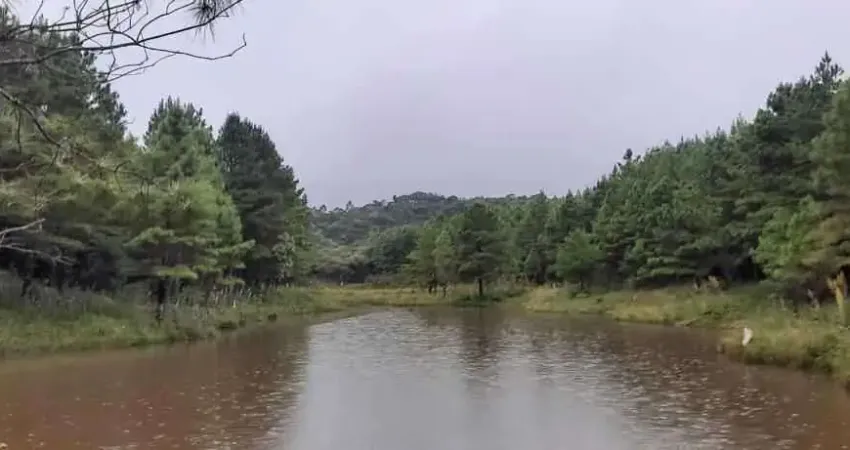 Chácara / sítio com 1 quarto à venda na Zona Rural, São José dos Pinhais