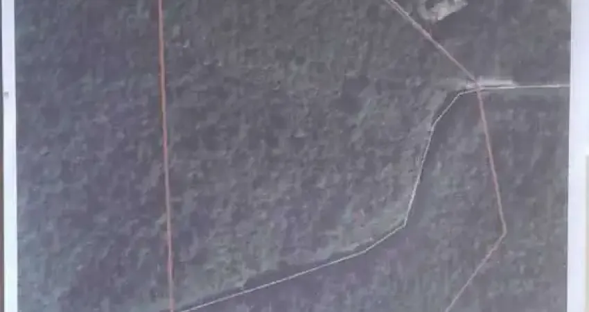 Chácara / sítio à venda no Palmitalzinho, Quatro Barras 