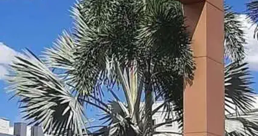 Apartamento à venda no bairro residencial itamaracá - goiânia/go