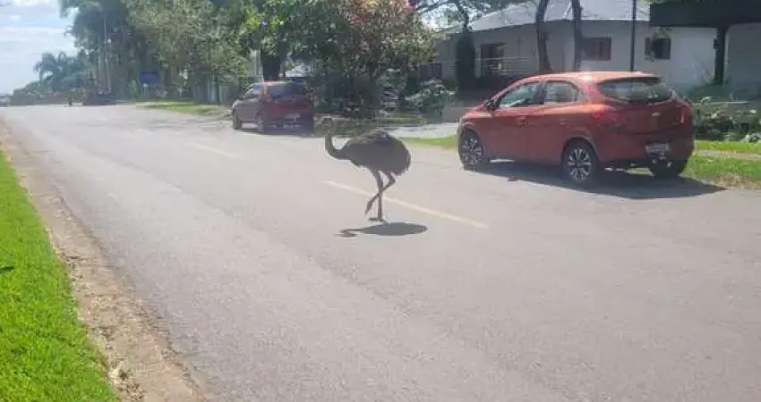 Terreno à venda no bairro residencial aldeia do vale - goiânia/go