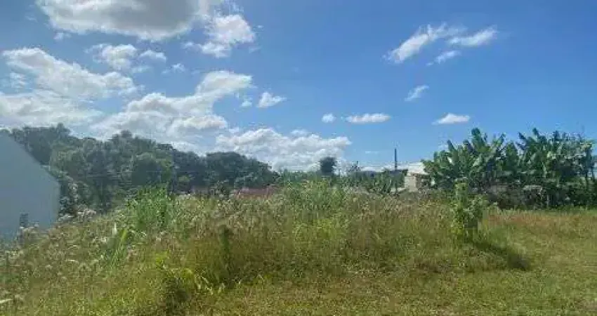 Imóvel para venda tem 1112 metros quadrados em floresta - joinville - sc