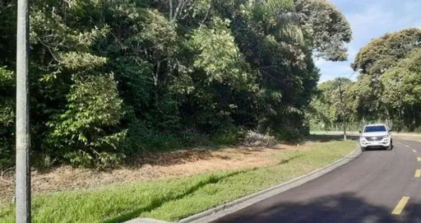 Terreno à venda na Rua Thales Loureiro, SN, Ponta Negra, Manaus