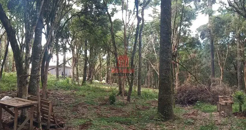 Terreno à venda na Estrada Principal Do Espigão Das Antas, Areia Branca dos Assis, Mandirituba