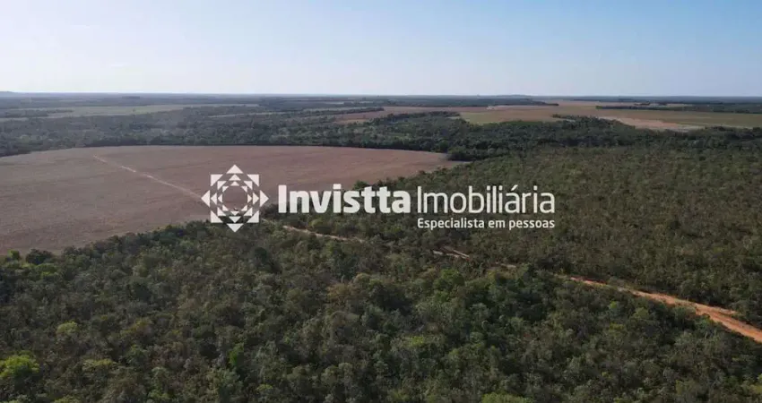 Fazenda ótima para o plantio margeando lavouras na frente e no fundo, com boa logística a 7 km do asfalto. pedro afonso-to