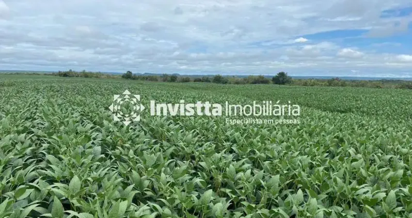 Fazenda no vale do araguaia- dois irmãos-to. area total: 234 alqueires