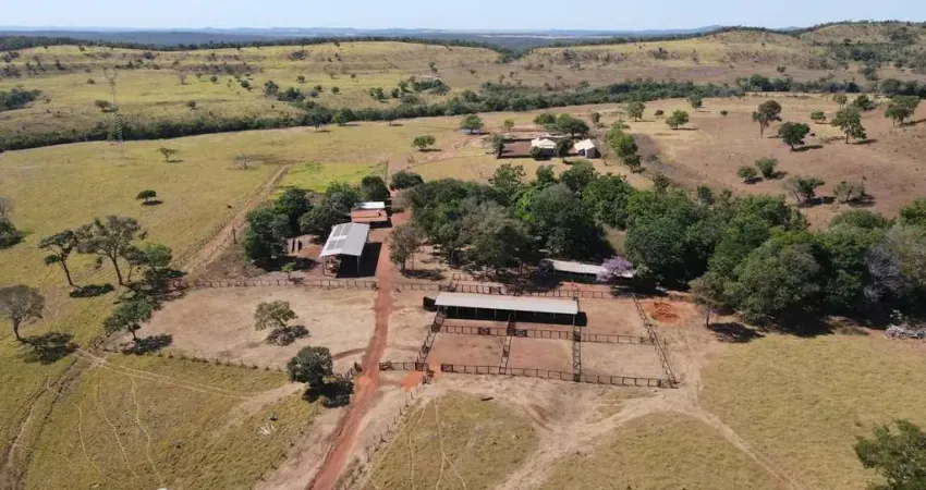 Fazenda localizada em uma das regiões com maior altitude do estado-área total: 1.190 hectares (246 alqueires)