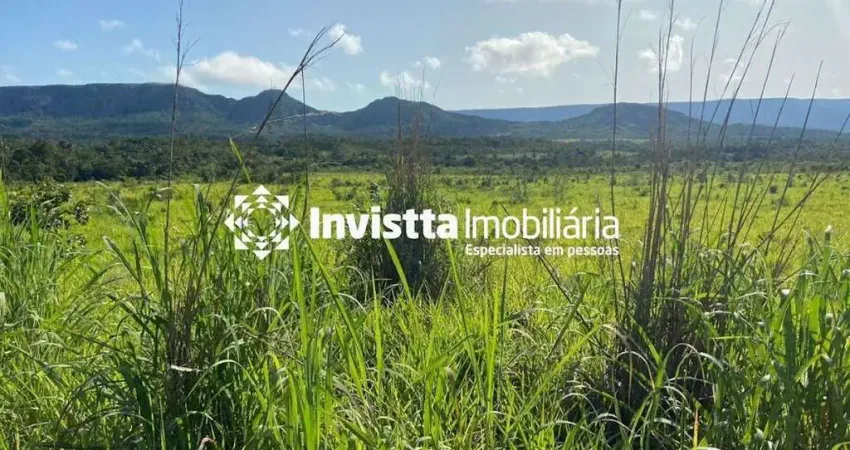 Área total: 1.000 hectares (200 alqueires) 450 hectares agricultáveis