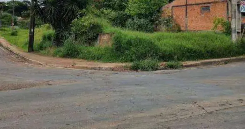 Terreno comercial para alugar na Rua Leopoldo Froes, Uvaranas, Ponta Grossa