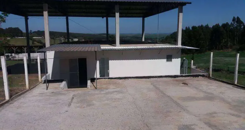 Barracão / Galpão / Depósito para alugar na DT CONCHAS VELHAS, Boa Vista, Ponta Grossa