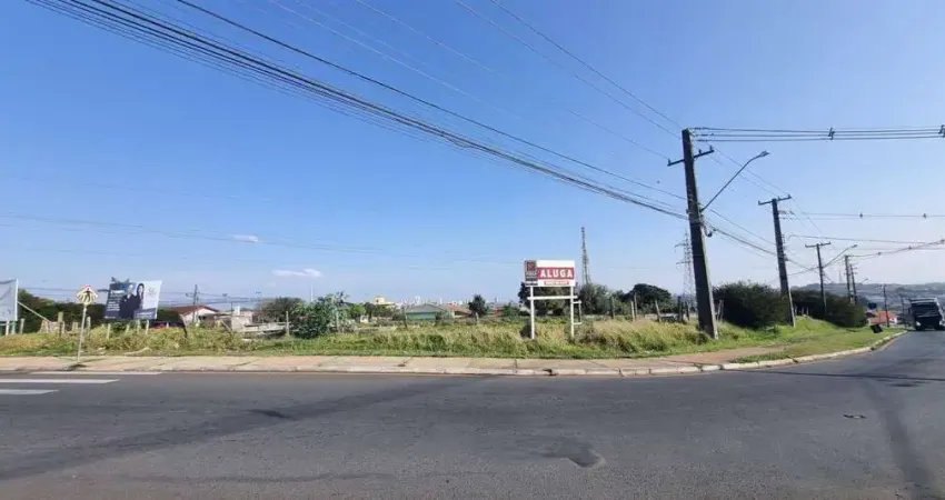 Terreno comercial para alugar na Rua Margarida Kubinski Vaz, Boa Vista, Ponta Grossa