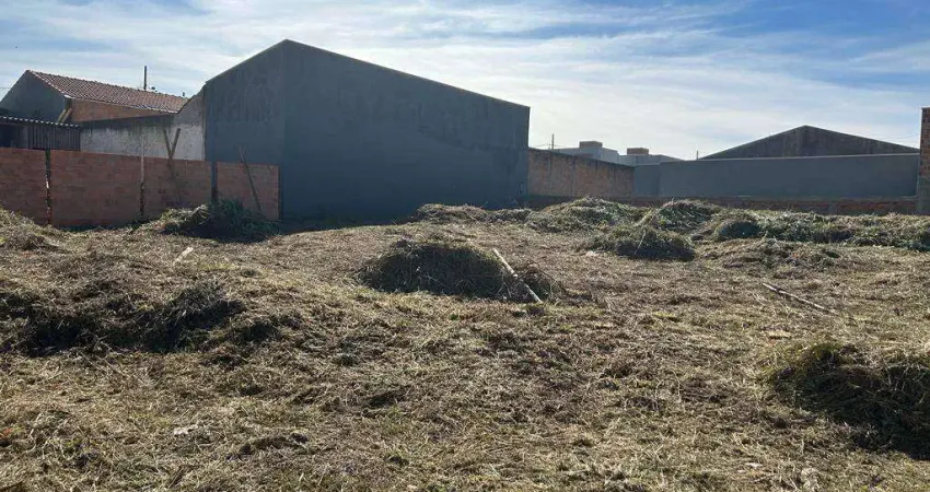 Terreno comercial para alugar na Rua Ismael Calixto, Uvaranas, Ponta Grossa