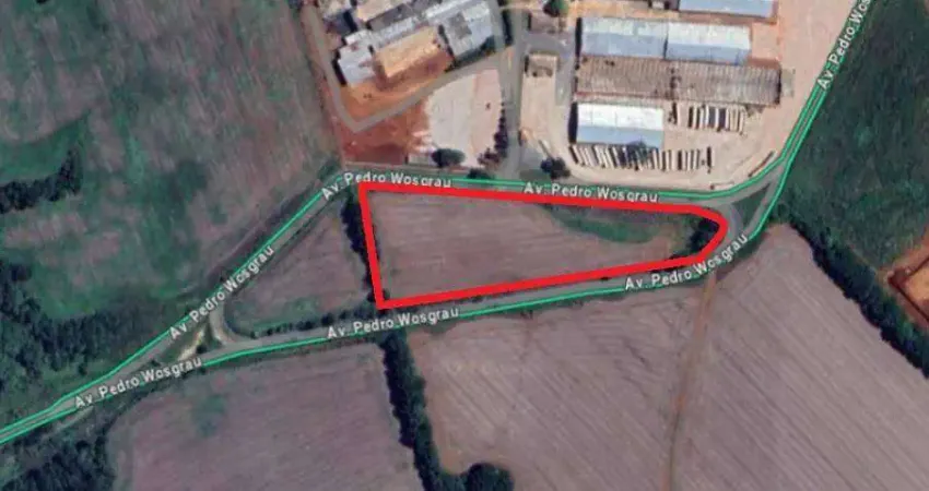 Terreno comercial para alugar na Avenida Pedro Wosgrau, Cará-cará, Ponta Grossa