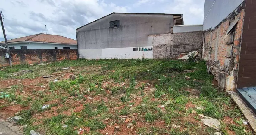Terreno comercial para alugar na Rua Dias da Rocha Filho, Oficinas, Ponta Grossa