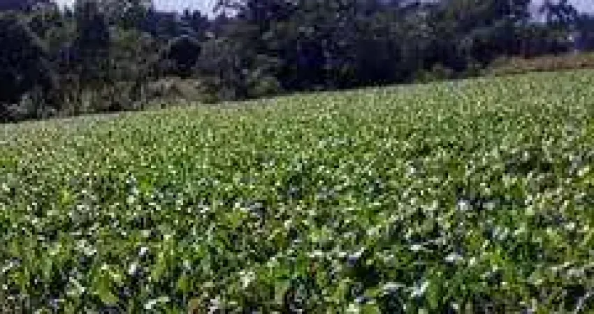 Terreno comercial à venda na PRL RUA FRANCISCO GALVAO, Chapada, Ponta Grossa