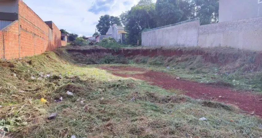 Terreno à venda na Avenida Euzébio de Queiroz, Uvaranas, Ponta Grossa