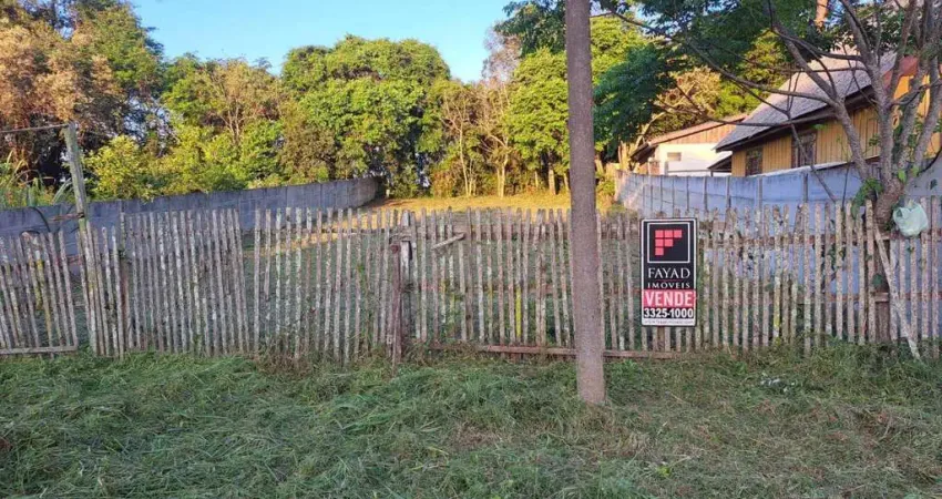 Terreno à venda na Rua Edison Ribeiro, Piriquitos, Ponta Grossa