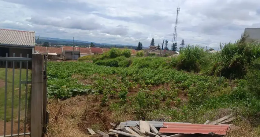 Terreno à venda na Rua Eloi de Cesário Leria, Chapada, Ponta Grossa