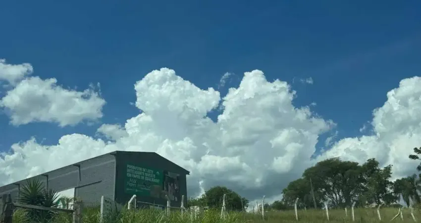 Barracão / Galpão / Depósito para alugar na RUA Bela Vista, Centro, Carambeí