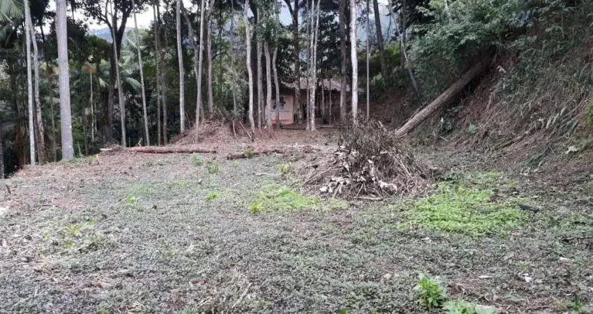 Terreno à venda, 2231 m² - parque são clemente, nova friburgo/rj