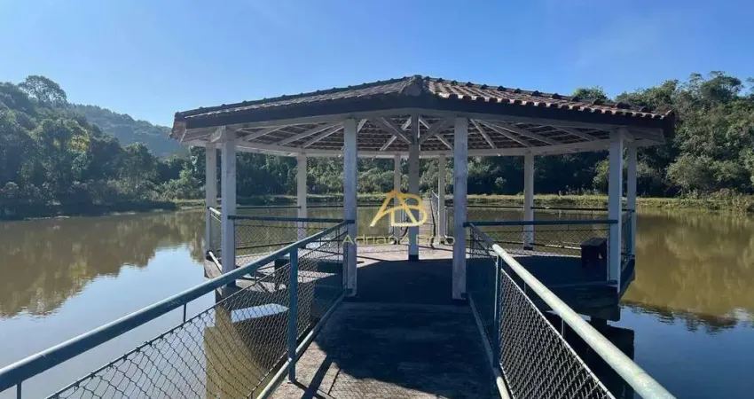 Chácara / sítio com 420 quartos à venda na Rodovia Gilberto Palu, Vila Mandirituba, Mandirituba