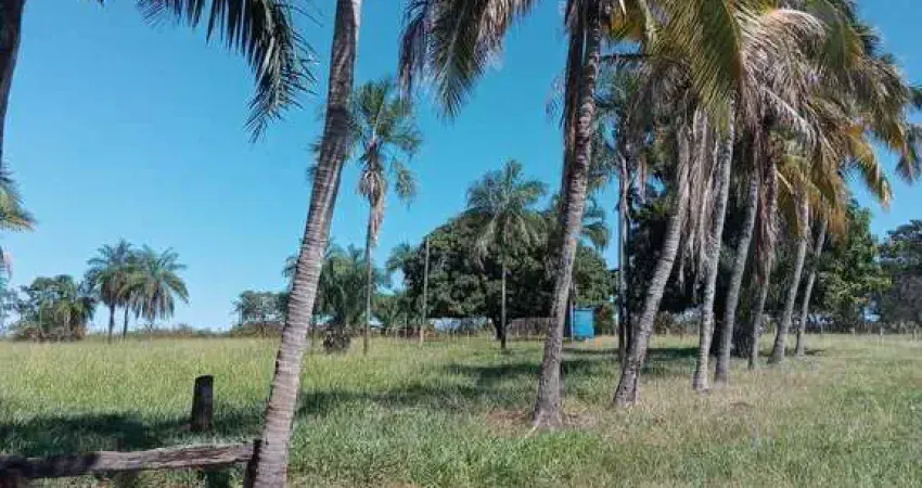 Chácara / sítio com 2 quartos à venda na zona rural, 10, Zona Rural, Varjão
