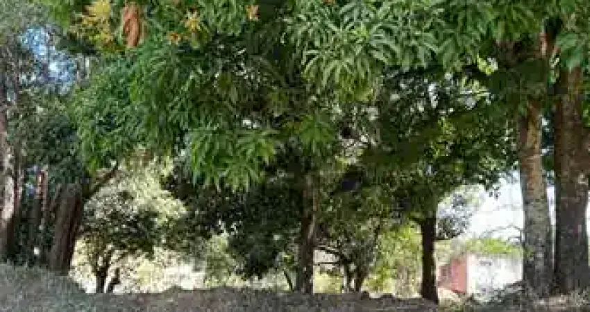 Terreno comercial à venda na Avenida Odorico Nery, Vila Maria, Aparecida de Goiânia
