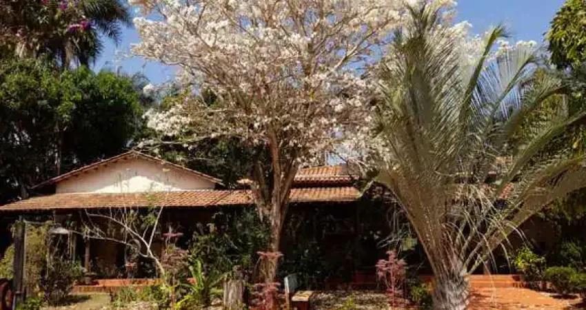 Chácara / sítio com 5 quartos à venda na Rua Vicinal 3, Sítios Olhos D'agua, Senador Canedo