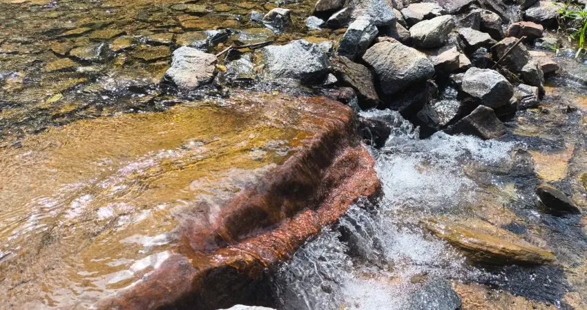 Terreno rural a venda no belchior alto em gaspar com 20.000m2