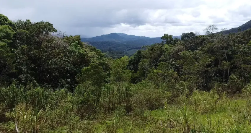 Vendo terreno em luiz alves no braço joaquim com duas nascentes e escritura pública.