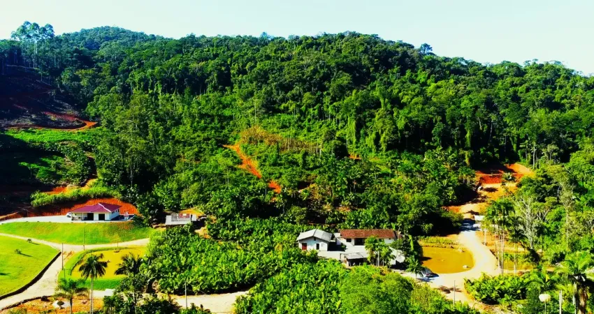Chácara / sítio com 4 quartos à venda na Rua Onze de Novembro, Zona Rural, Massaranduba