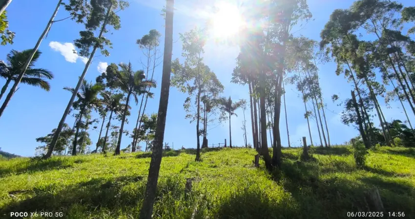 Vendo terreno em são joão do itaperiu com 2.000m2 frente rodovia