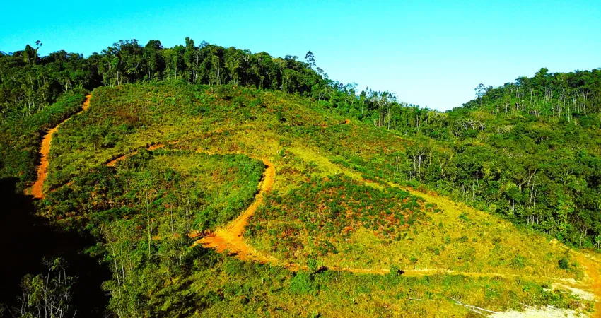 Vendo terreno para sitio em Luiz Alves a poucos metros da rodovia e poucos minutos do centro da cidade.