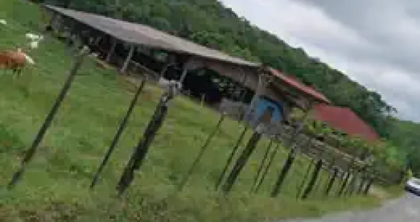 Chácara / sítio com 2 quartos à venda na Avenida Nereu Ramos, Zona Rural, Balneário Piçarras