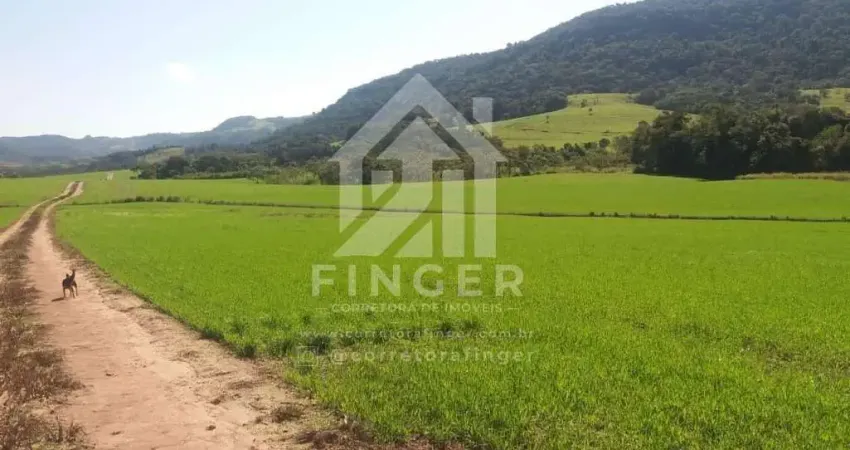 Terreno comercial à venda no Centro, Pitanga