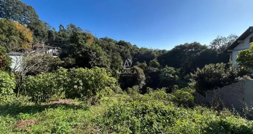 Terreno à venda no Santa Marta, Bento Gonçalves