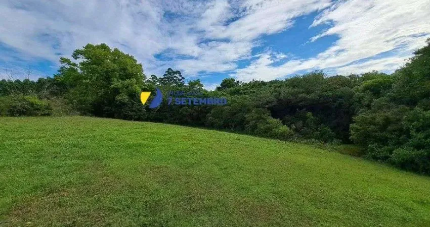 Chácara / sítio à venda na Rua Doutor Montauri, Centro, Mariana Pimentel