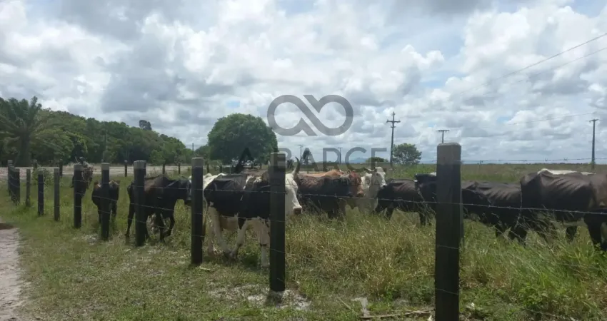 Fazenda com 1 sala à venda na Praça Quinze de Novembro, 1, Zona Rural, Canavieiras