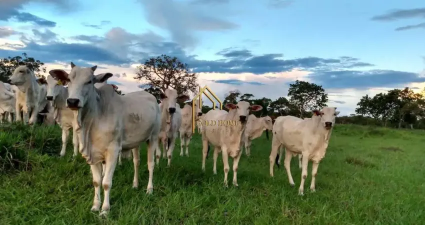 Fazenda à venda na Rua Um, 01, Pedra 90, Cuiabá