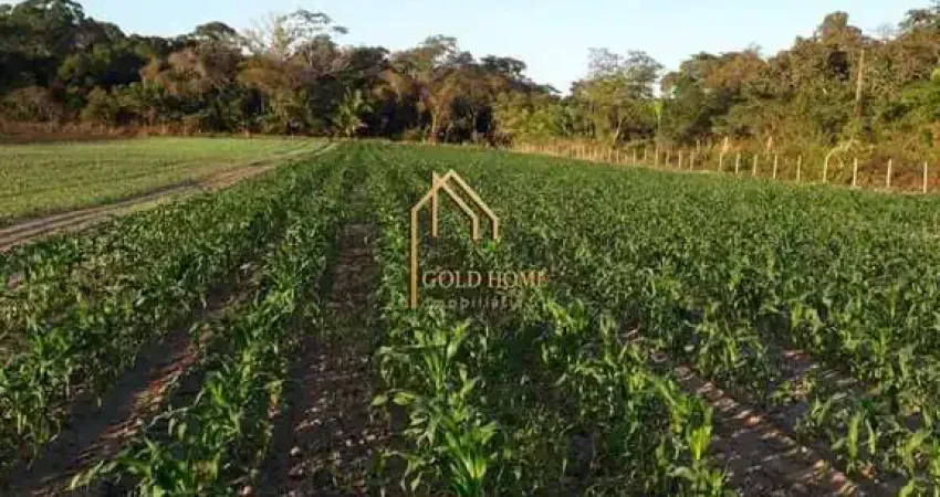 Chácara / sítio com 2 quartos à venda na Área Rural, 01, Zona Rural, Cuiabá
