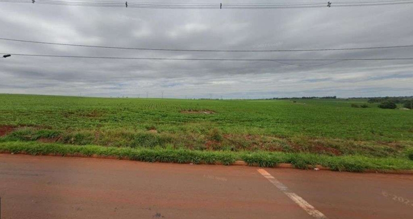 Terreno à venda Av. Saul Elkind, 242000 m² por R$ 19.360.000 - Perobinha - Londrina/PR