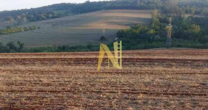 Sítio à venda, 96800 m² (4 alqueires) por r$ 6.400.000 - patrimônio regina - londrina/pr