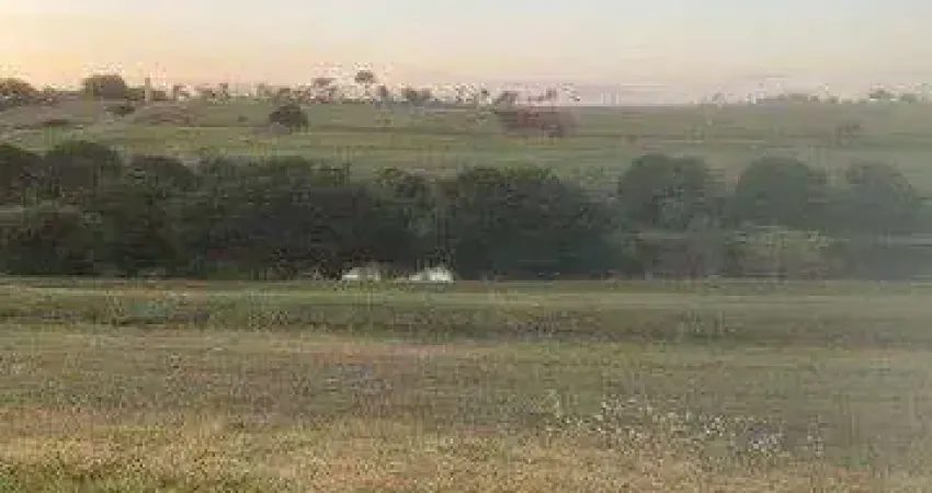 Terreno à venda, 2300 m² por R$ 550.000,00 - Rodovia - Sertanópolis/PR