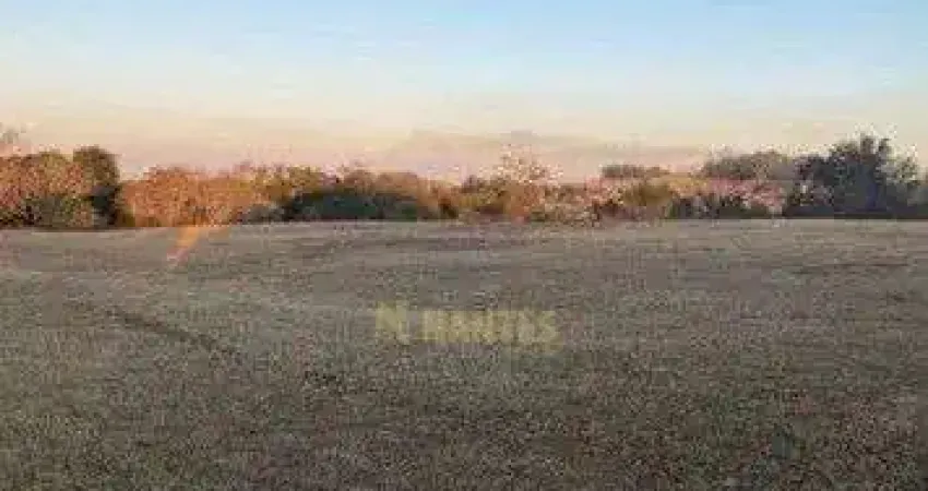 Terreno à venda, 8464 m² por R$ 2.550.000 - Estância Cabral - Cambé/PR