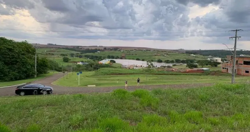 Terreno à venda, 2487 m² por R$ 670.000 - Rodovia - Sertanópolis/PR