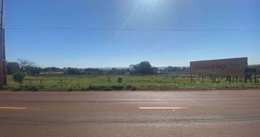 Terreno à Venda, 5000 m² R$ 3.000.000,00 - Av. Saul Elkind - Perobinha - Londrina/PR