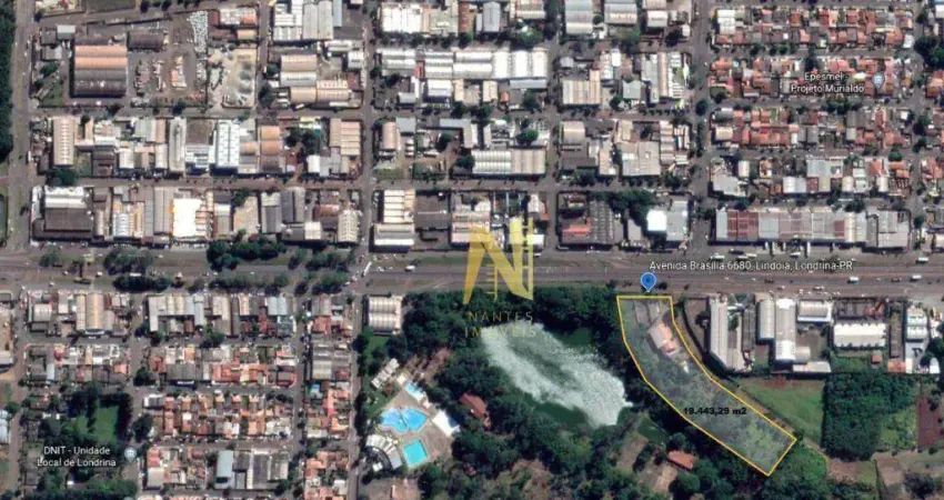 Terreno à venda, 19443 m² - av. brasília - r$ 4.199.000 - indústrias leves - londrina/pr
