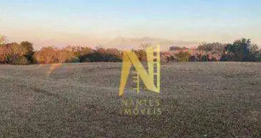 Terreno à venda, 8464 m² por r$ 2.550.000 - estância cabral - cambé/pr